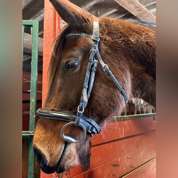Black dressage schooling bridle, Full size crown Kieffer, Vespucci brow band - Picture 7 of 8